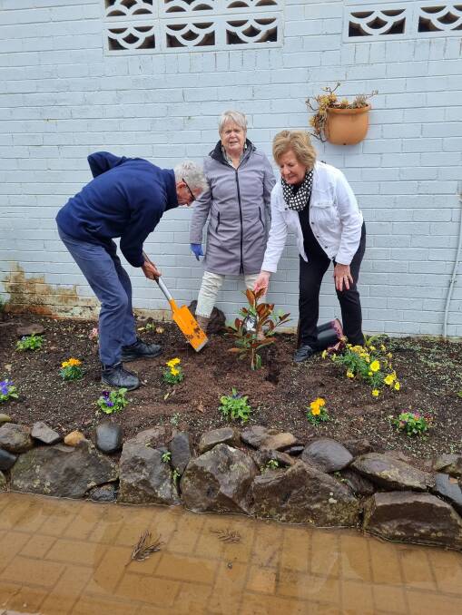 Club keeps Lismore gardens blooming for 90 years