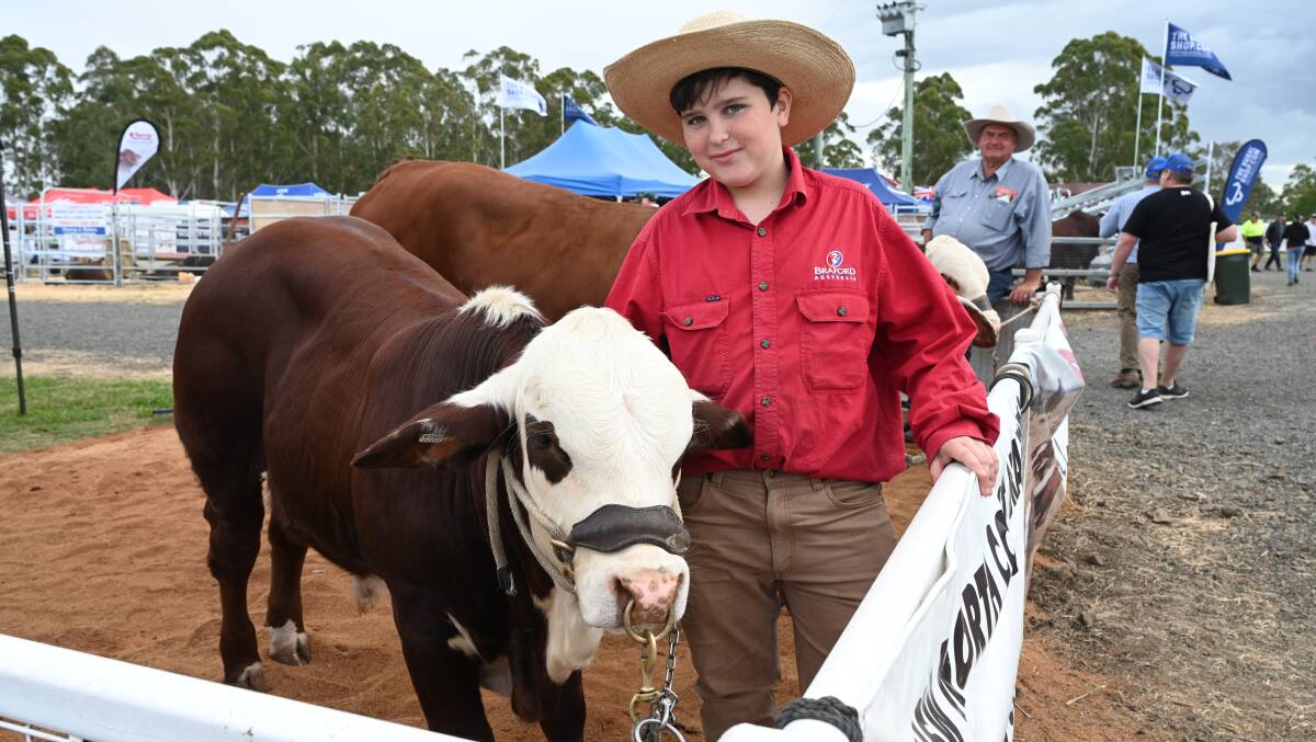 Joshua Borello, 12, of Theresa Creek, with a bull from Big Valley Braford Stud at last year's Primex. Pictures Cathy Adams