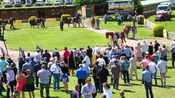 Racing returns to the Lismore Turf Club on July 26. Picture supplied