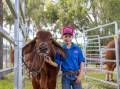 Logan Fahey of Bizzy Brahmans prepares for Beef Week in Rockhampton, Queensland. (HANDOUT/BEEF AUSTRALIA)
